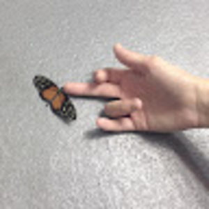 Meet your Posher, Leah